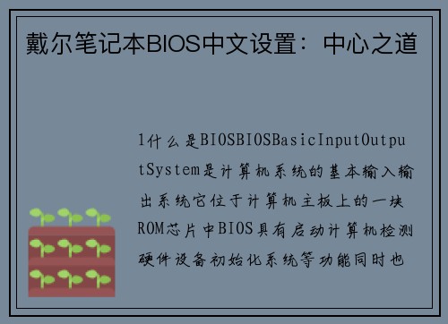 戴尔笔记本BIOS中文设置:中心之道